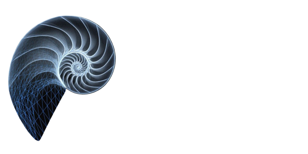 Copia-de-Contratacion-publica-y-estrategia