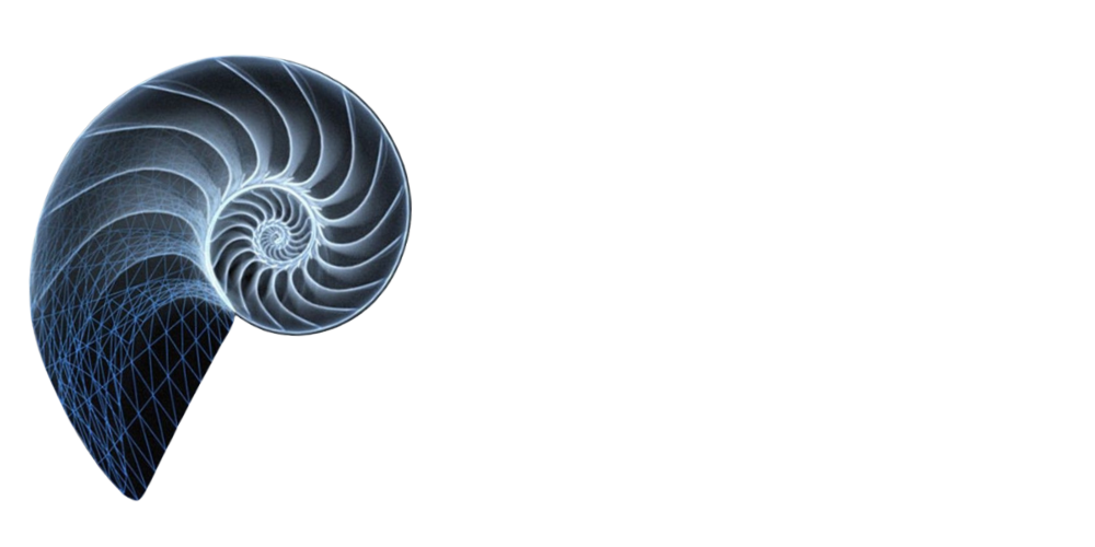 Áurea Consulting Group